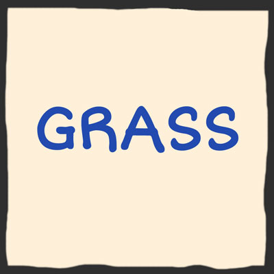  Bluegrass 